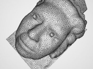 Mesh of a 3D scanned stone head